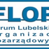 Logo FLOP (link otworzy duże zdjęcie)